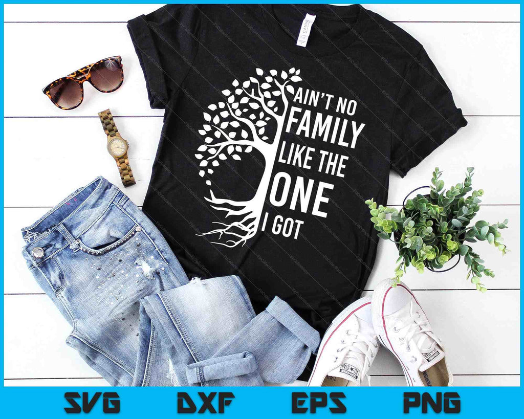 Ain_tNoFamilyLikeTheOneIGotFun