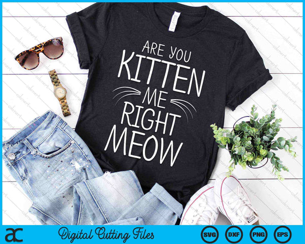 Are You Kitten Me Right Meow Cat Joke Whiskers SVG PNG Digital Cutting Files