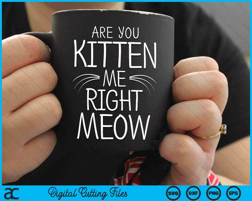 Are You Kitten Me Right Meow Cat Joke Whiskers SVG PNG Cutting Files