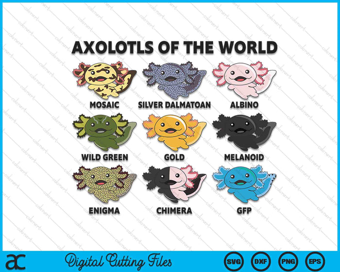 Axolotls Of The World Sweet Animals Kawaii Axolotl SVG PNG Digital Cutting Files Axolotls Of The World Sweet Animals Kawaii Axolotl SVG PNG Digital Cutting Files