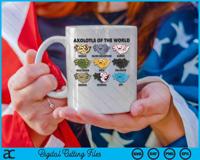 Axolotls Of The World Sweet Animals Kawaii Axolotl SVG PNG Digital Cutting Files Axolotls Of The World Sweet Animals Kawaii Axolotl SVG PNG Digital Cutting Files