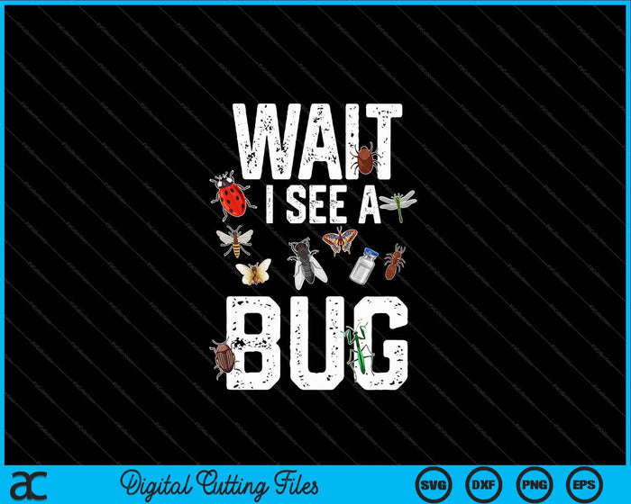 Entomologist Sayings Wait I See a Bug SVG PNG Digital Cutting Files Entomologist Sayings Wait I See a Bug SVG PNG Digital Cutting Files