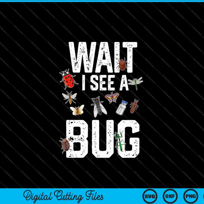 Entomologist Sayings Wait I See a Bug SVG PNG Digital Cutting Files Entomologist Sayings Wait I See a Bug SVG PNG Digital Cutting Files