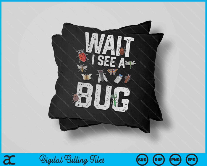 Entomologist Sayings Wait I See a Bug SVG PNG Digital Cutting Files Entomologist Sayings Wait I See a Bug SVG PNG Digital Cutting Files