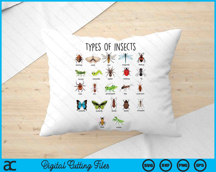 Kids Types Of Insects Bug Identification Science SVG PNG Digital Cutting Files Kids Types Of Insects Bug Identification Science SVG PNG Digital Cutting Files