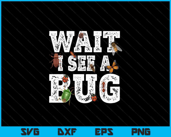Wait I See A Bug Entomology Insect Collector Entomologist SVG PNG Digital Cutting Files