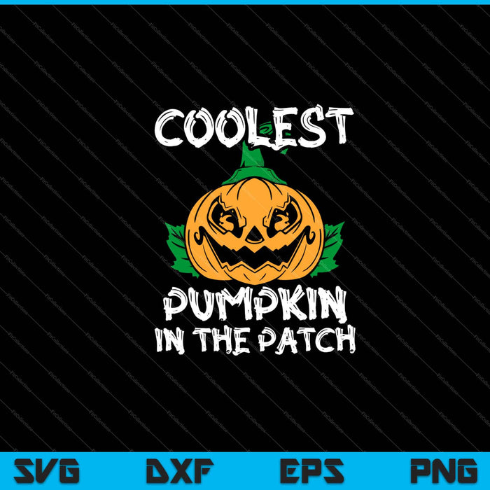 Coolest Pumpkin In The Patch Halloween SVG PNG Cutting Printable Files Coolest Pumpkin In The Patch Halloween SVG PNG Cutting Printable Files