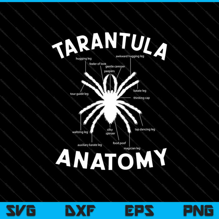 Tarantula Anatomy SVG PNG Cutting Printable Files