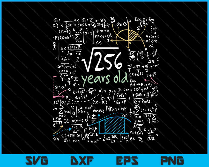 Square Root of 256 16 Years Old 16th Birthday Design SVG PNG Digital Cutting Files