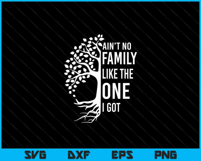 Ain't No Family Like The One I Got Family Reunion SVG PNG Digital Cutting Files