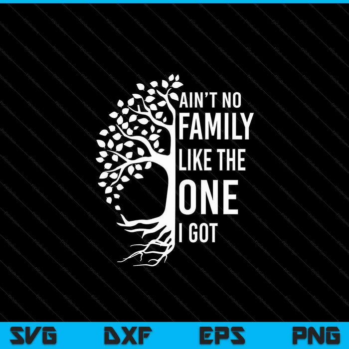 Is geen familie zoals degene die ik kreeg familiereünie SVG PNG digitale snijbestanden