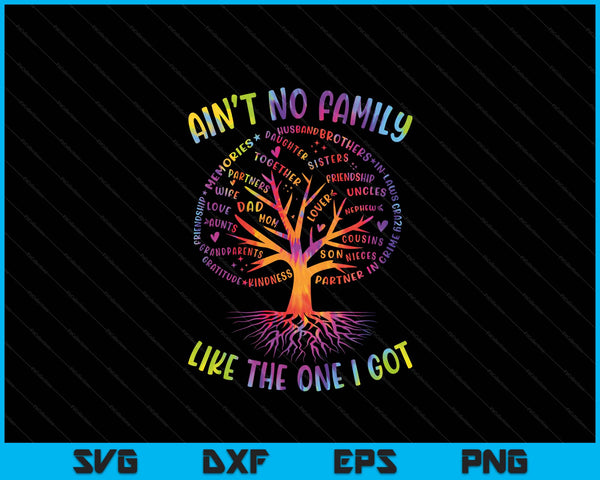 Ain't no family like the one I got matching family reunion SVG cut file