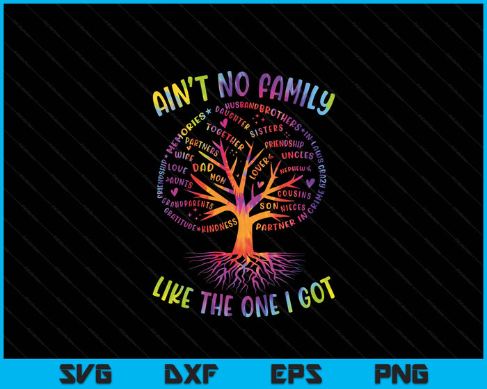 Ain't No Family Like The One I Got Matching Family Reunion SVG PNG Digital Printable Files