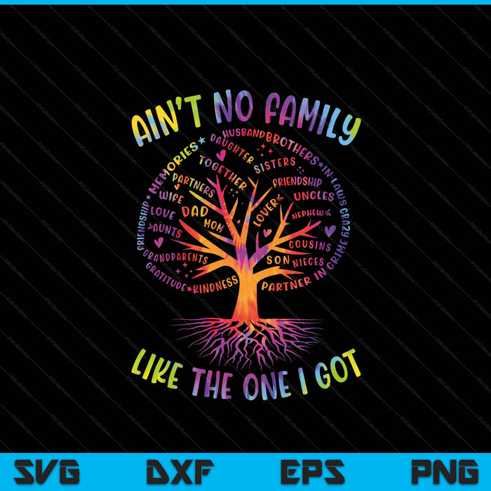 Ain't no family like the one I got matching family reunion SVG cut file