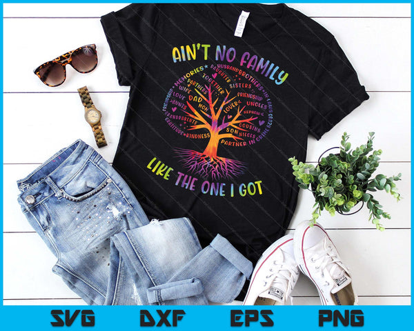 Ain't No Family Like The One I Got Matching Family Reunion SVG PNG Digital Printable Files