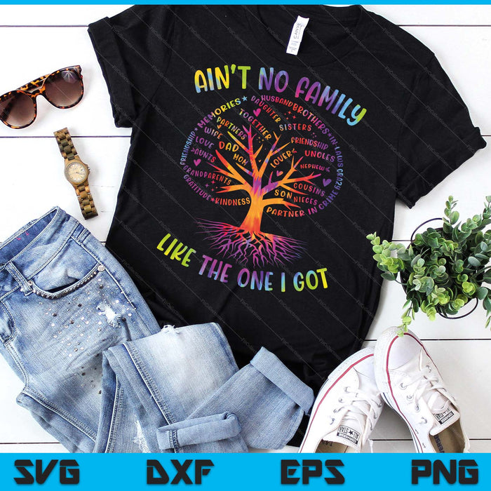 Ain't No Family Like The One I Got Matching Family Reunion SVG PNG Digital Printable Files