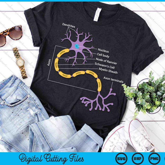 Anatomy Of Neuron Neurologist SVG PNG Digital Cutting Files