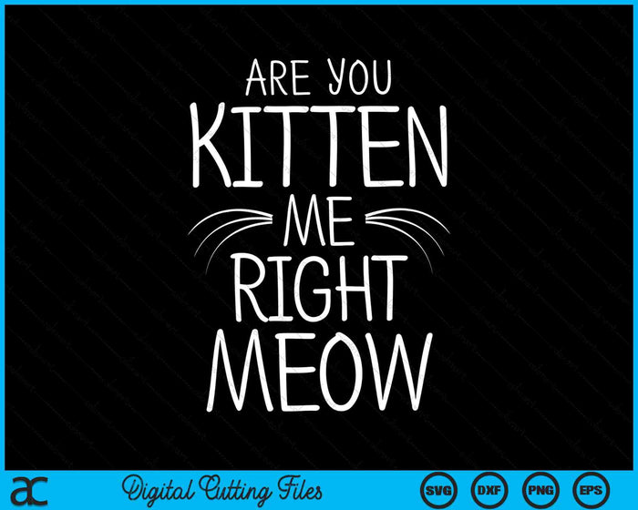 ¿Eres gatito, tengo razón? Miau gato broma bigotes SVG PNG archivos de corte digital