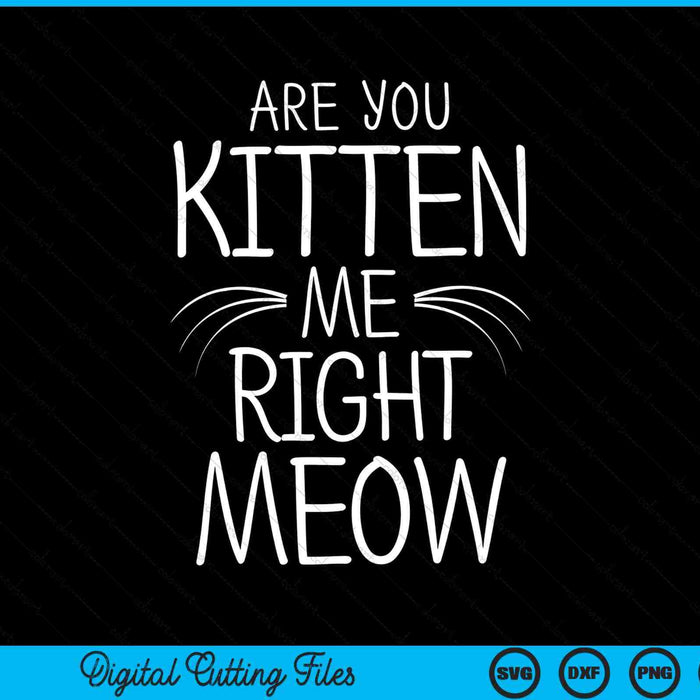 Are You Kitten Me Right Meow Cat Joke Whiskers SVG PNG Digital Cutting Files