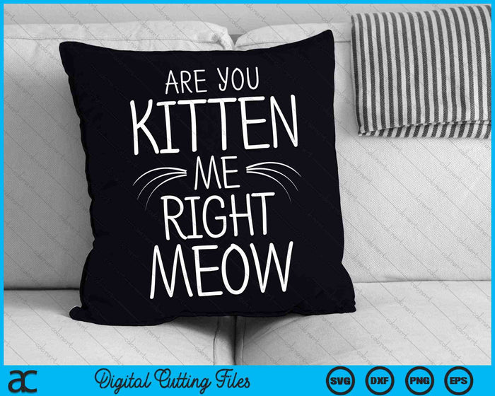 Are You Kitten Me Right Meow Cat Joke Whiskers SVG PNG Digital Cutting Files