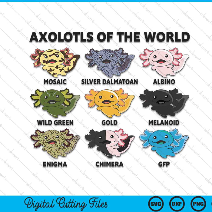 Axolotls Of The World Sweet Animals Kawaii Axolotl SVG PNG Digital Cutting Files
