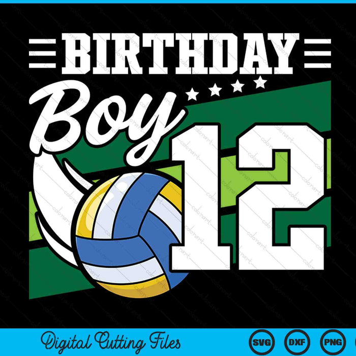 Birthday boy 12 years old volleyball lover SVG cut file