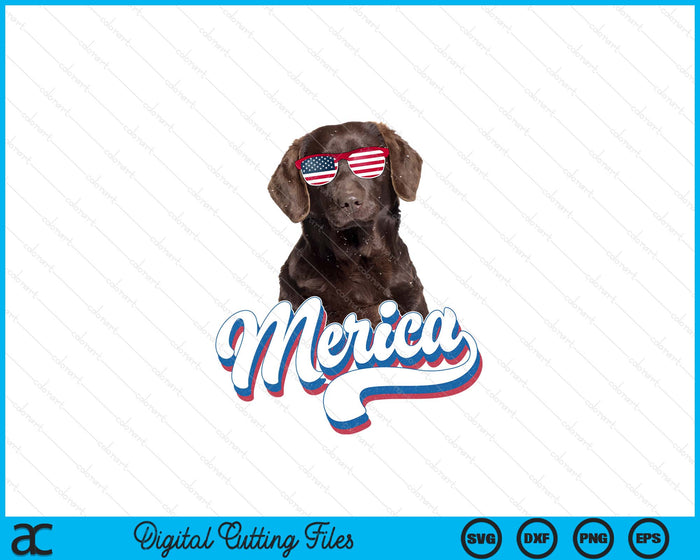 Chocolate Labrador Labs Patriotic American Flag Sunglasses SVG PNG Digital Printable Files