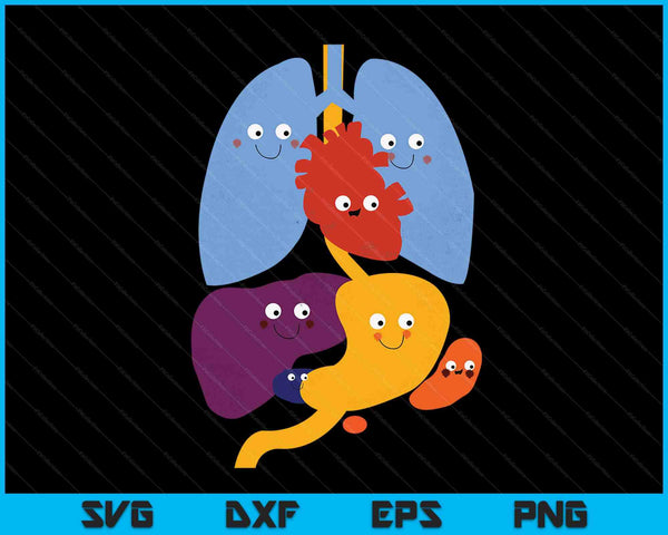 Cute Anatomy and Physiology Heart Lungs Organs SVG PNG Digital Cutting Files
