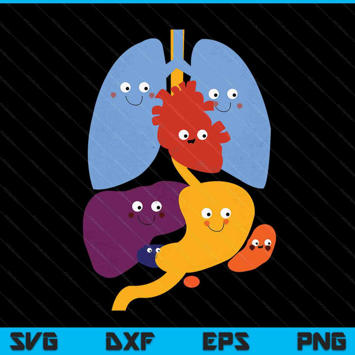 Cute anatomy and physiology heart lungs organs SVG cut file