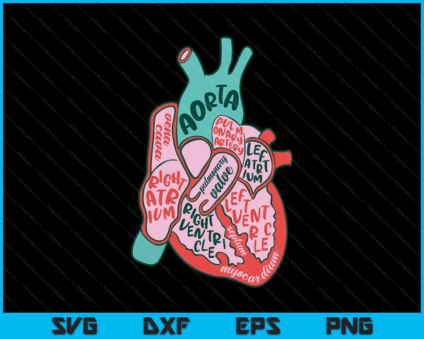 Cvicu cardiac nurse human heart anatomy cardiology biology SVG cut file