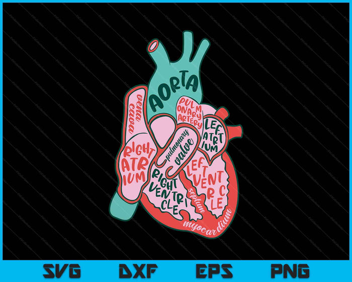 Cvicu Cardiac Nurse Human Heart Anatomy Cardiology Biology SVG PNG Digital Printable Files