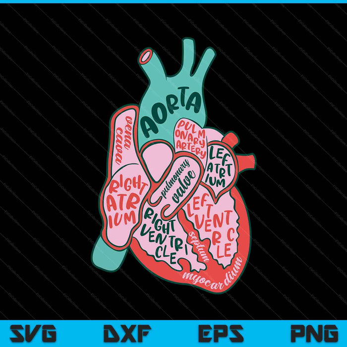 Cvicu cardiac nurse human heart anatomy cardiology biology SVG cut file