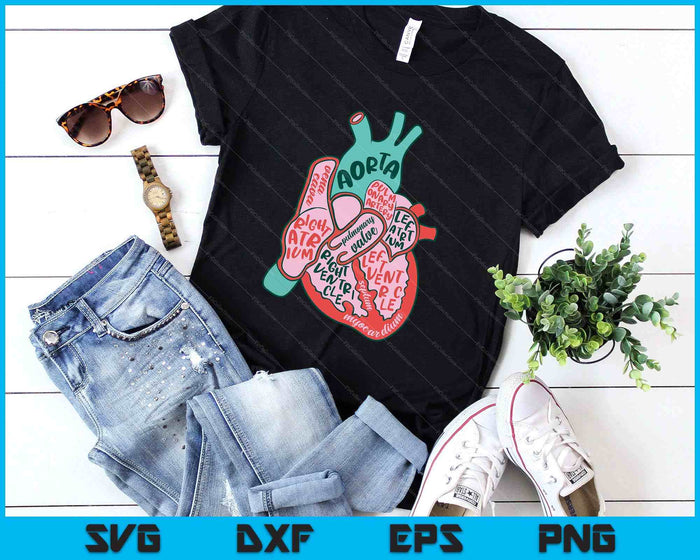Cvicu Cardiac Nurse Human Heart Anatomy Cardiology Biology SVG PNG Digital Printable Files