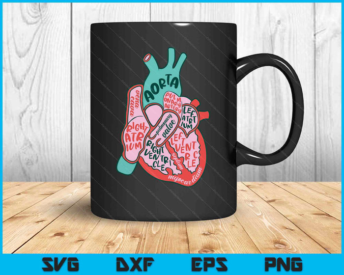Cvicu Cardiac Nurse Human Heart Anatomy Cardiology Biology SVG PNG Digital Printable Files