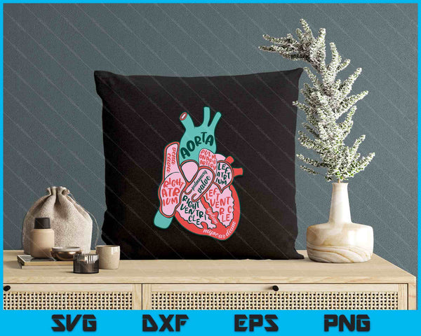 Cvicu Cardiac Nurse Human Heart Anatomy Cardiology Biology SVG PNG Digital Printable Files