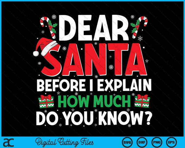 Beste Kerstman voordat ik uitleg hoeveel weet je grappige kerst SVG PNG digitale snijbestanden