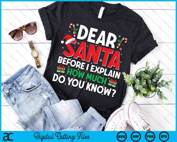 Dear Santa Before I Explain How Much Do You Know Funny Christmas SVG PNG Digital Cutting Files