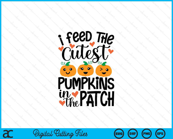 Feed The Cutest Pumpkins In The Patch SVG PNG Cutting Printable Files