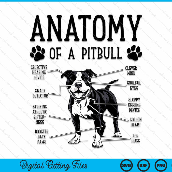 Funny Anatomy Pitbull Dog Cute Pittie Lover Pit Bull Owner SVG PNG Digital Cutting File