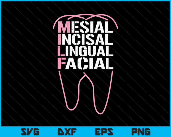 Dental quote milf mesial incisal lingual facial SVG PNG cut file for Cricut