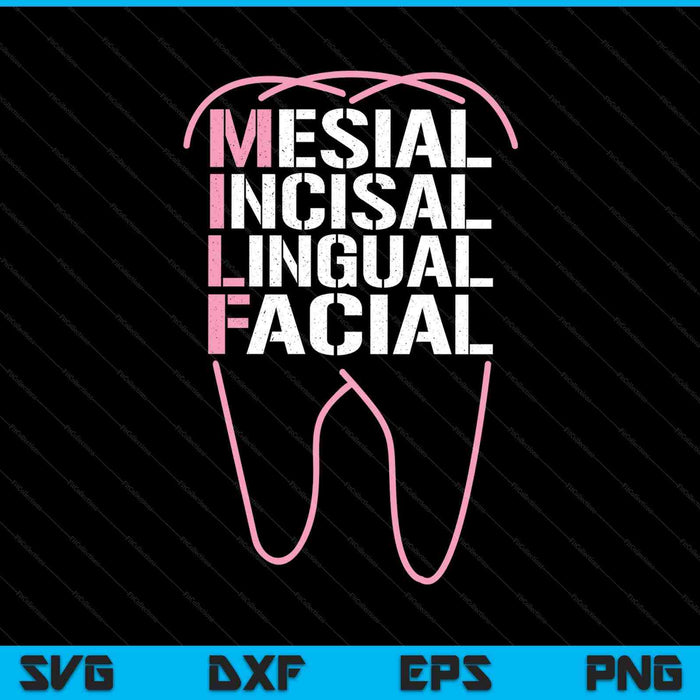 Dental quote milf mesial incisal lingual facial SVG cut file