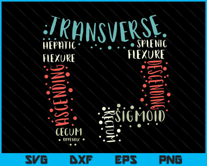 GI endoscopie verpleegkundige Endo Tech colonoscopie colon anatomie SVG PNG digitale afdrukbare bestanden