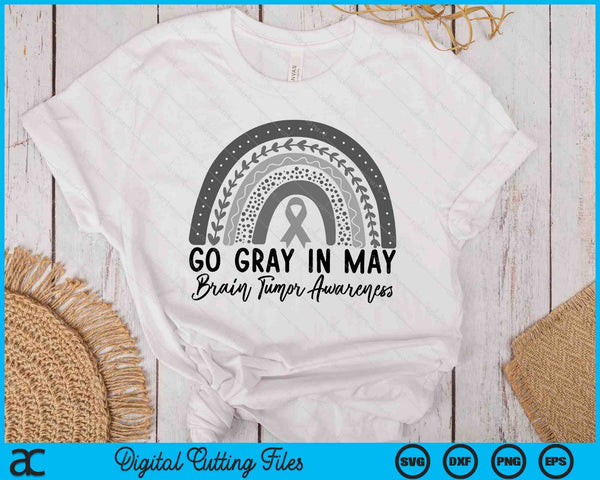 Go Gray In May Shirt Rainbow Brain Cancer Tumor Awareness SVG PNG Digital Printable Files