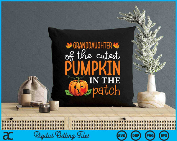 Granddaughter Of The Cutest Pumpkin In The Patch Halloween SVG PNG Digital Cutting File