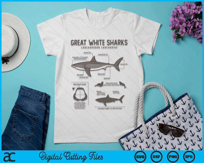 Great White Shark Anatomy Marine Biologist SVG PNG Digital Cutting File