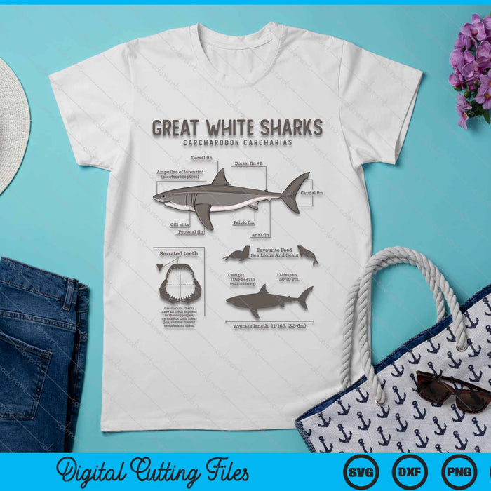 Great White Shark Anatomy Marine Biologist SVG PNG Digital Cutting File