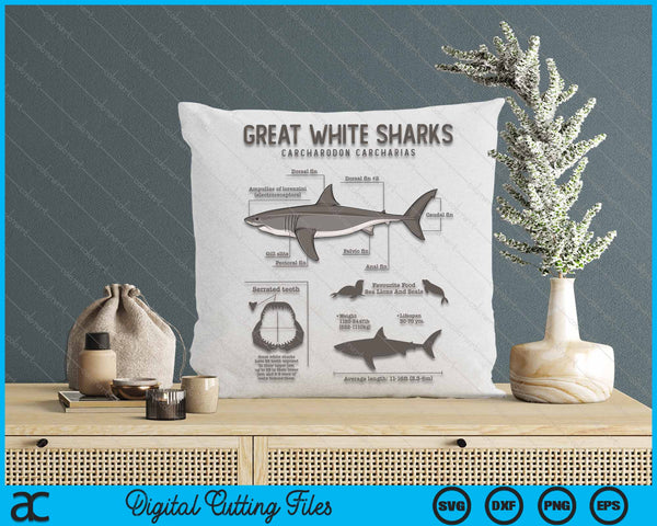 Great White Shark Anatomy Marine Biologist SVG PNG Digital Cutting File