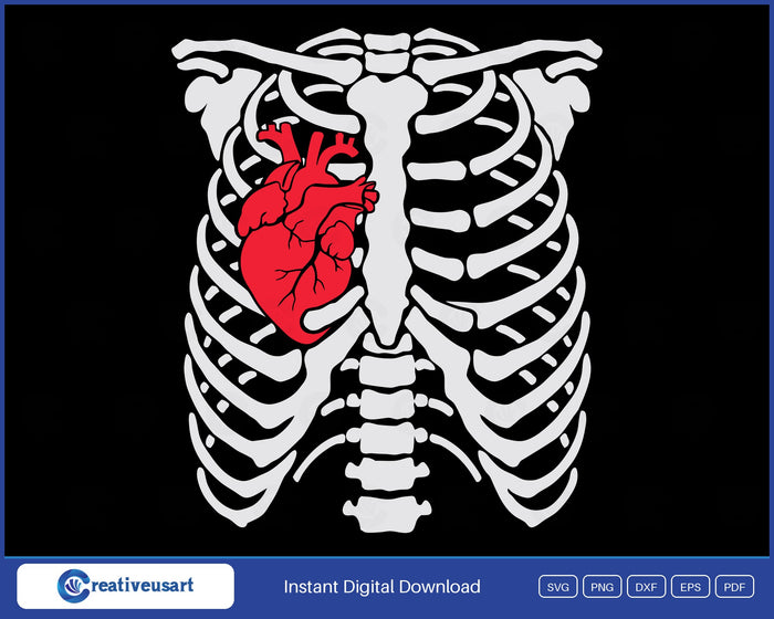 Skeleton rib cage anatomical heart SVG design, white rib cage with a red anatomical heart