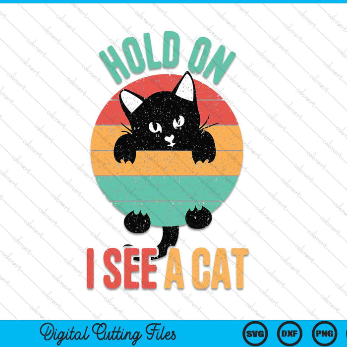Hold On I See A Cat, Funny Sarcastic Sayings Cat Lovers SVG PNG Digital Printable Files