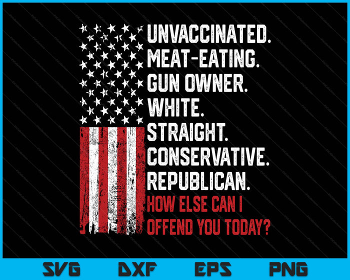 How Else Can I Offend You Today Funny Saying Quote Usa Flag SVG PNG Digital Printable Files
